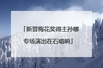 新晋梅花奖得主孙娜专场演出在石唱响